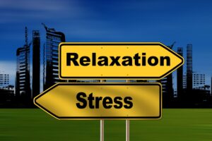Lire la suite à propos de l’article Formation Gestion du Stress : Techniques et Astuces pour Réduire l’Anxiété