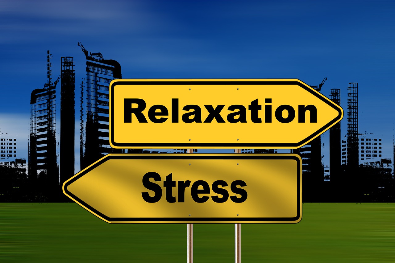 You are currently viewing Formation Gestion du Stress : Techniques et Astuces pour Réduire l’Anxiété